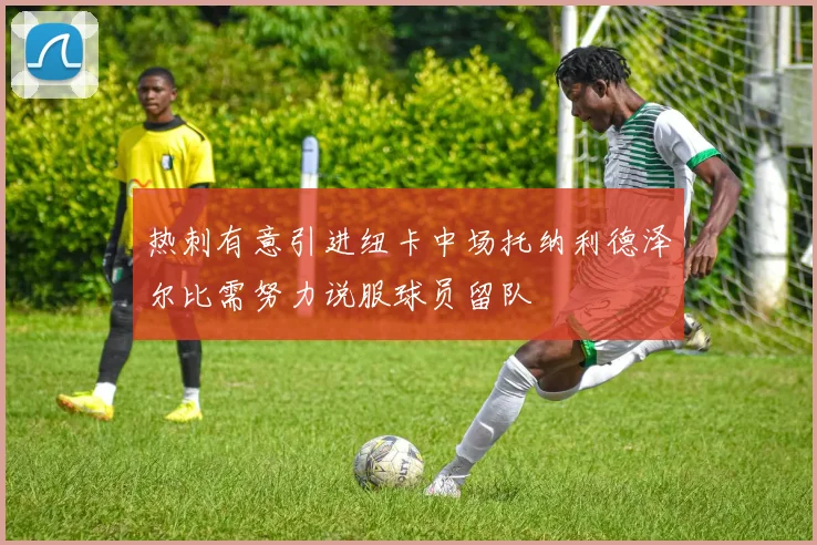 热刺有意引进纽卡中场托纳利德泽尔比需努力说服球员留队